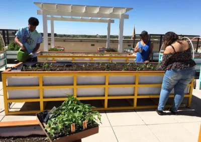 Imperial Building residents planting peppers and green chile.