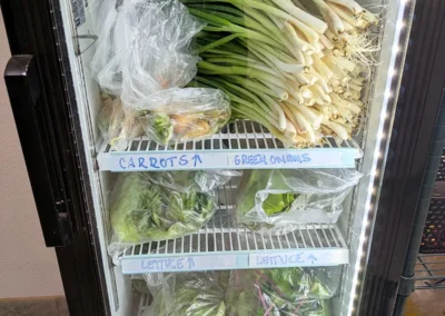 Refrigerator with piles of carrots, green onions and leafy greens.